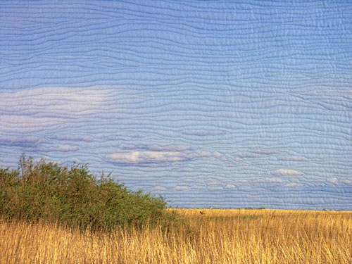 The Prairies are a Dry Land detail