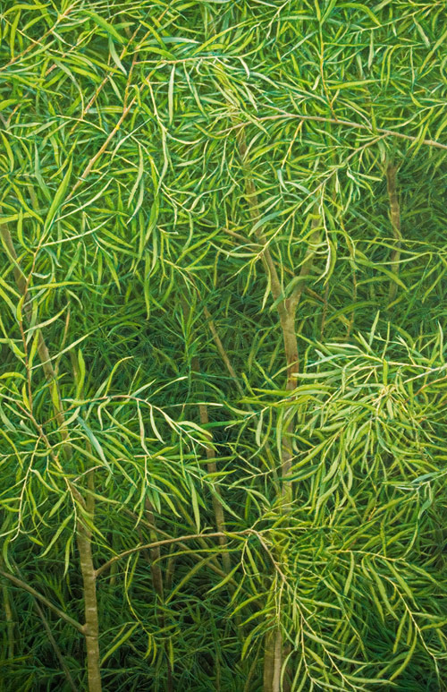 Elemental Green: Willows