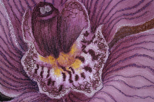 Cymbidum Orchid detail