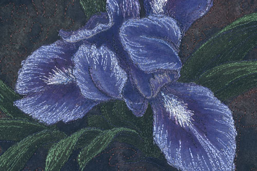 Dwarf Blue Iris detail