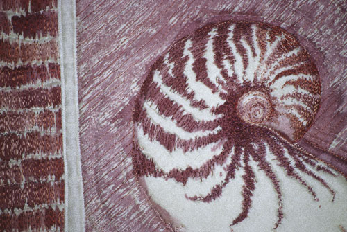 Nautilis Shell detail