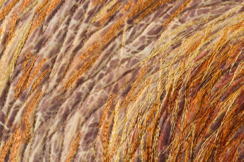 Straw Bale 2 detail