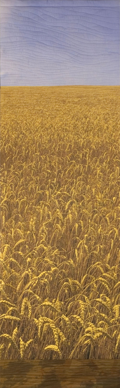 Wheat As Far As the Eye Can See