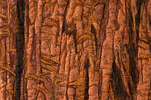 Cedar bark - detail